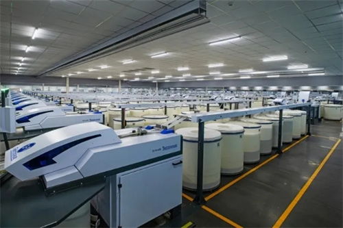 技术赋能织就产业新图景 井研的数字跃迁之路