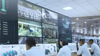 蒙牛二十年 以多层次创新铸就核心竞争力，数字技术赋能未来